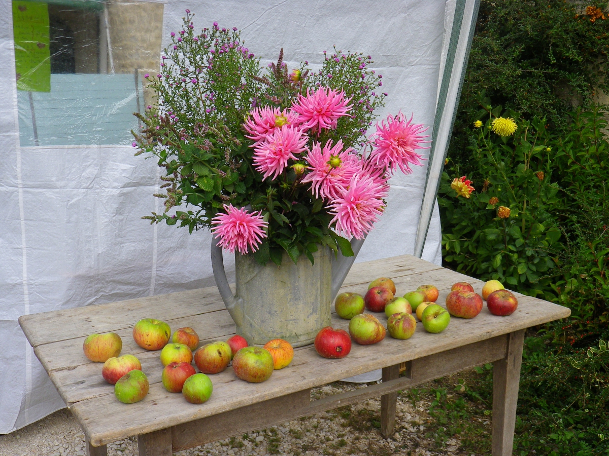 Randonnée des Pommes à Suzanne