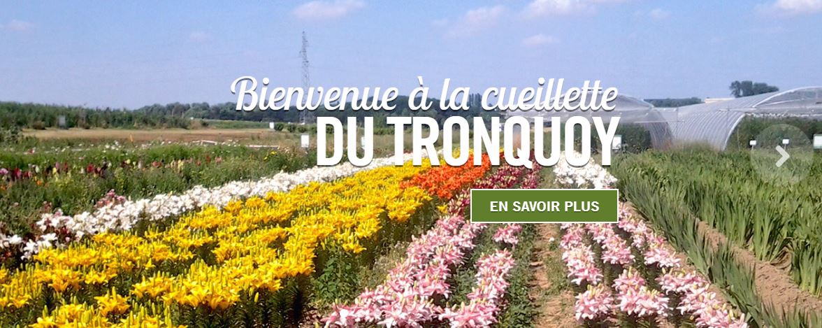 Cueillette au Tronquoy