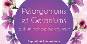 Conférence 