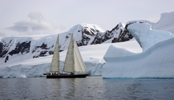 Soirée découvertes : «Antarctique»