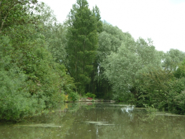 Légendes et nature, dans le marais de Guines