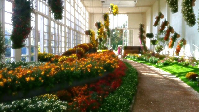 Promenade au jardin des plantes