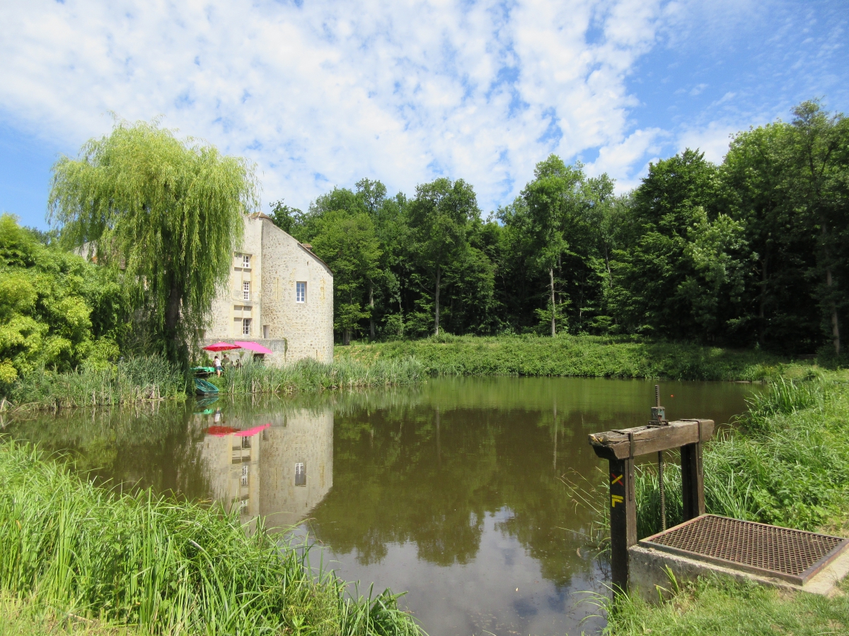 Rando pédestre en forêt de Montmorency