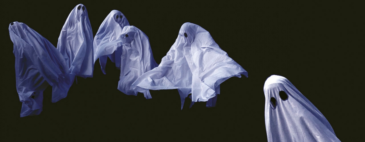 Pillowgraphies