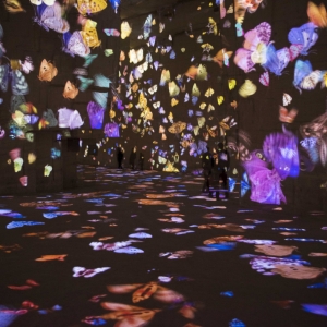 Visite Exposition : Arcimboldo, Brueghet, et bosh.