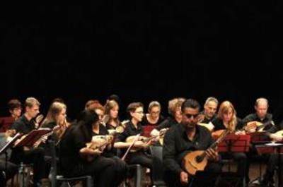 Orchestre à plectre