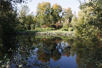 9- De  Marles les mines à Olhain,  sur la Via Francigéna
