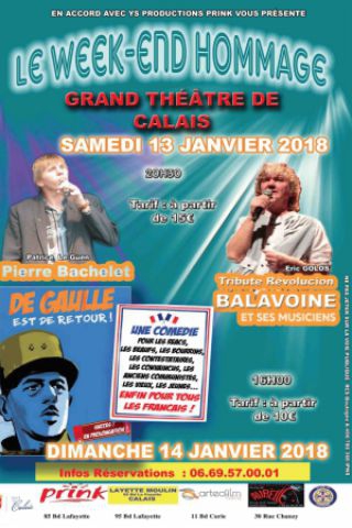 hommage balavoine bachelet