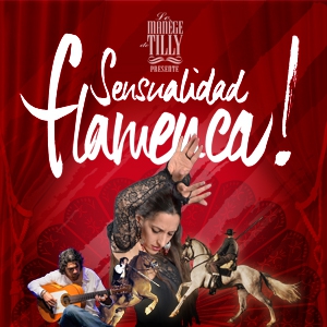 Sensualidad Flamenca