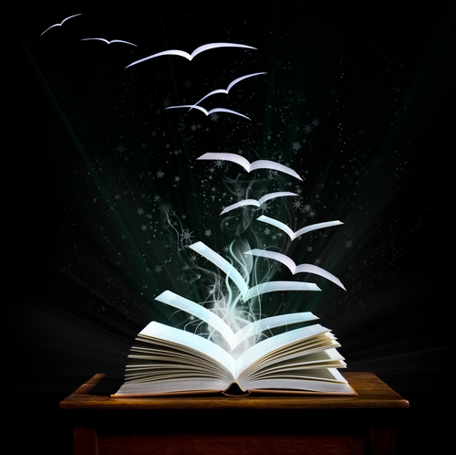 Soirée livres et raclette