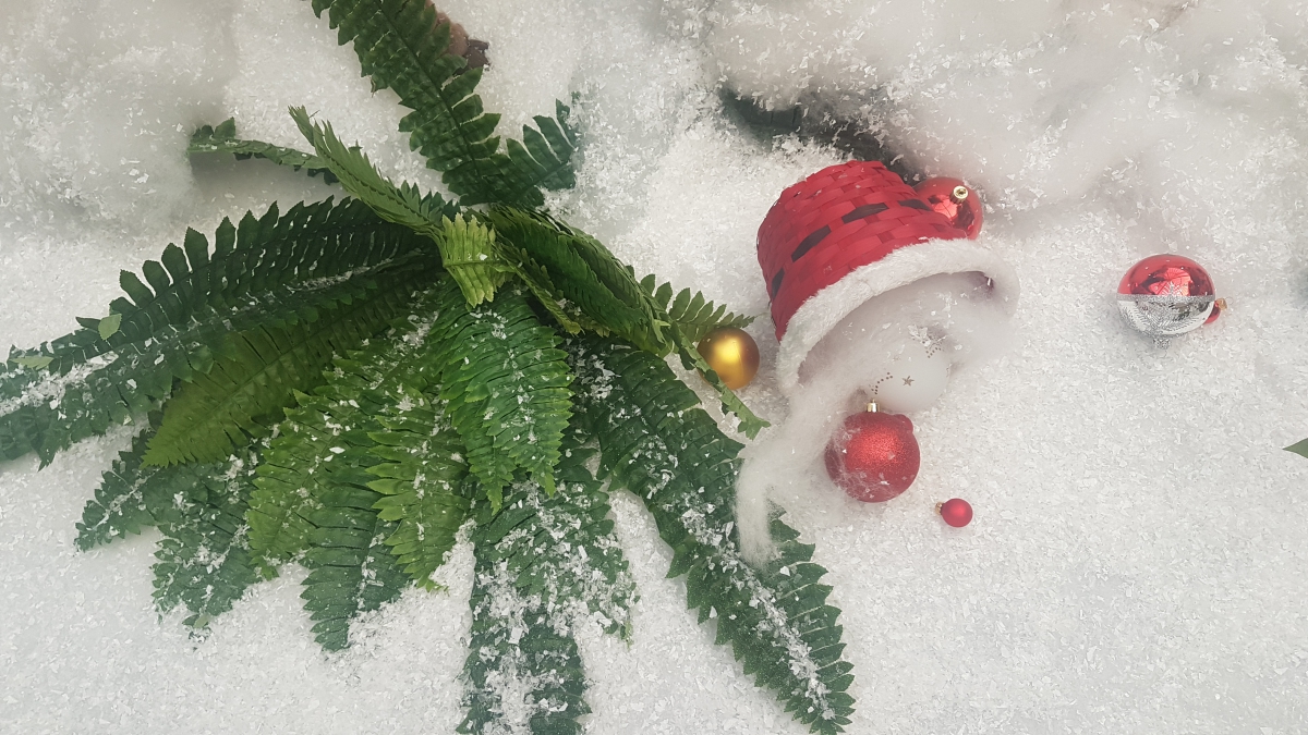 Noël des solos : mensuelle et soirée resto dansante