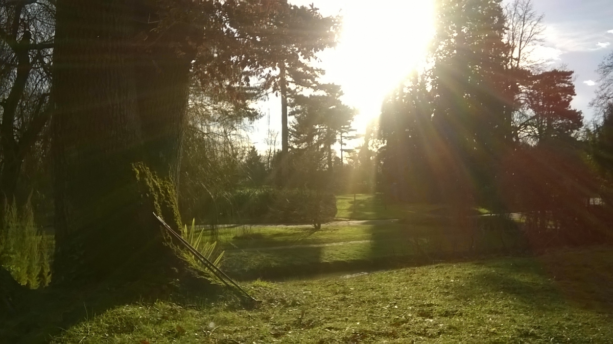Initiation marche nordique dans le bois de Boulogne