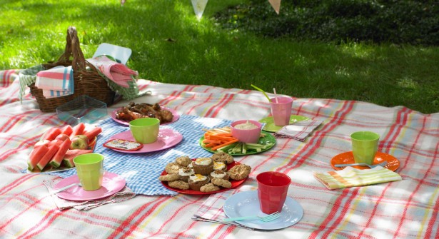 pique nique après le char a voile