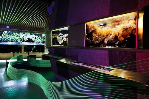 Museum Aquarium Nancy