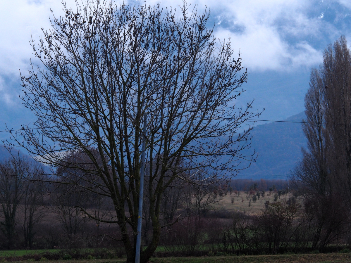 MARCHE autour des berges du RHONE