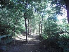 Randonnée à Soulaine sur Aubance