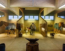 Visite du CADRE NOIR A SAUMUR