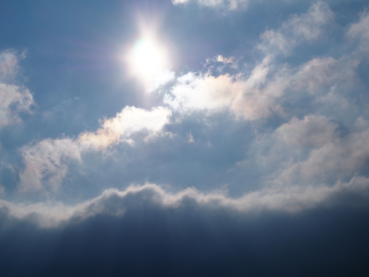 RENCONTRE CINEMA LE NAVIRE