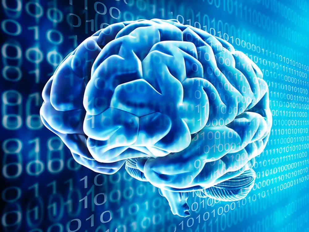 neurones partie