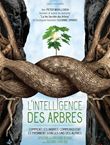 L'intelligence des arbres