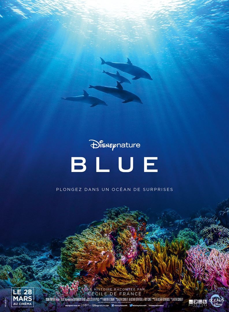 Blue auditorium Seynod