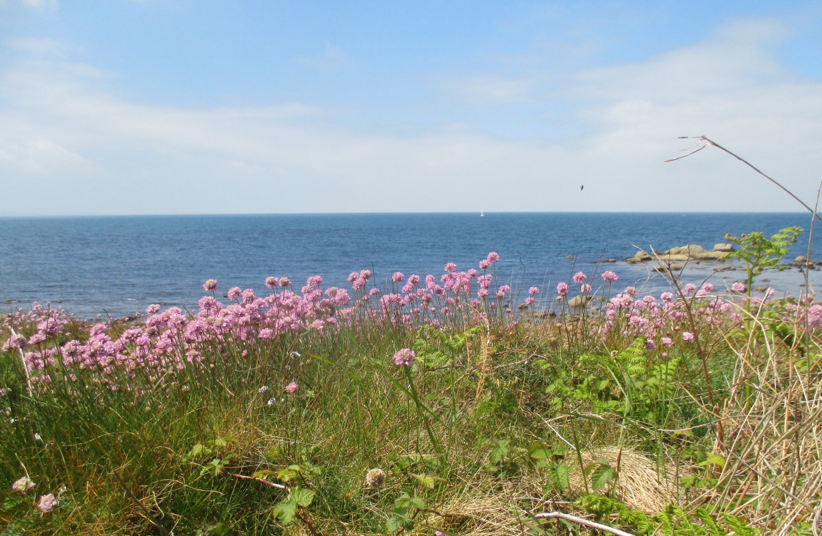 WE PENTECOTE : Cherbourg en Cotentin