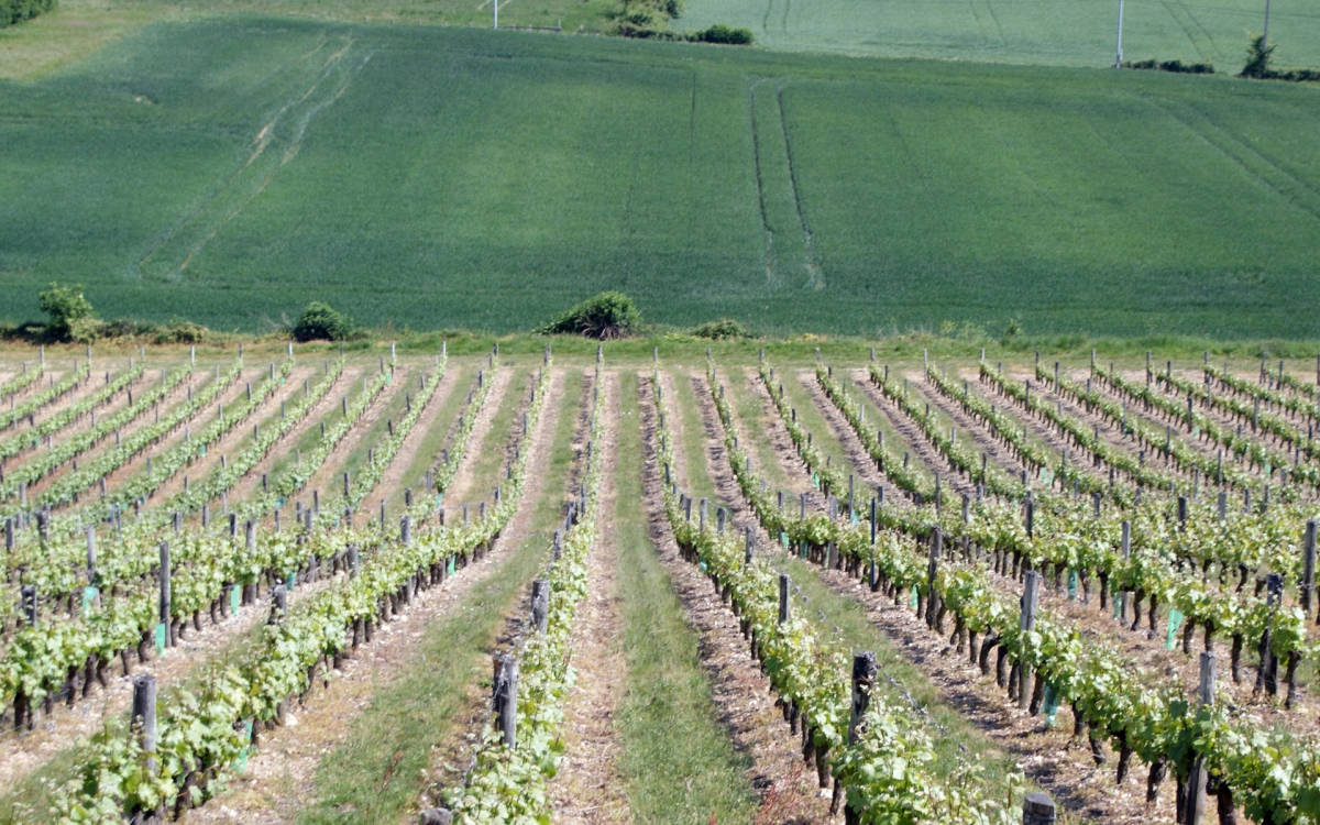 Rando # dégustation # marmite sarthoise