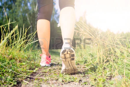 Marche 10 km autour de Curgies -Jenlain
