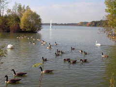 La balade de bienvenue