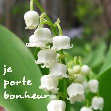 cueillette du Muguet