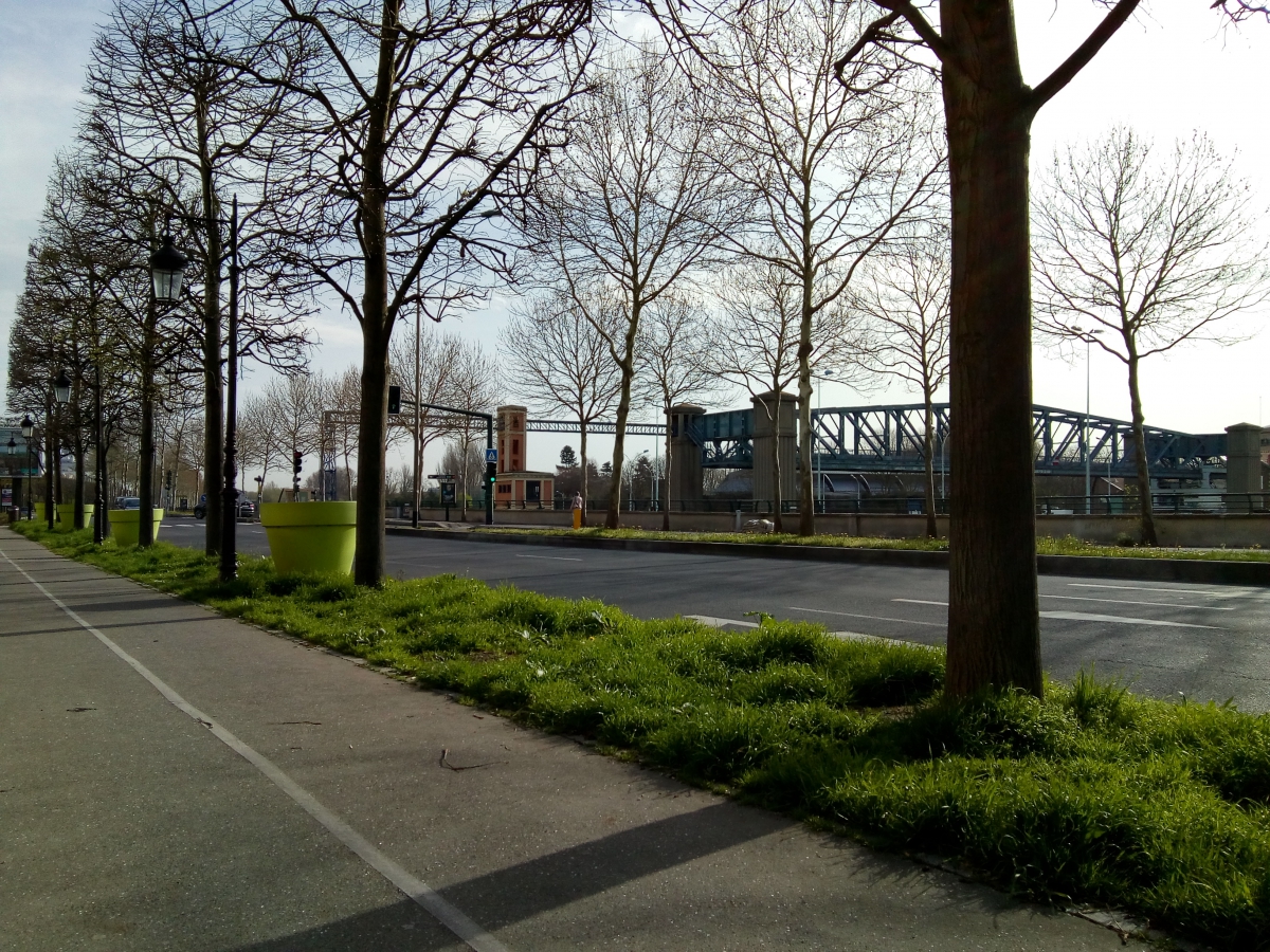 Promener la laisse du chien