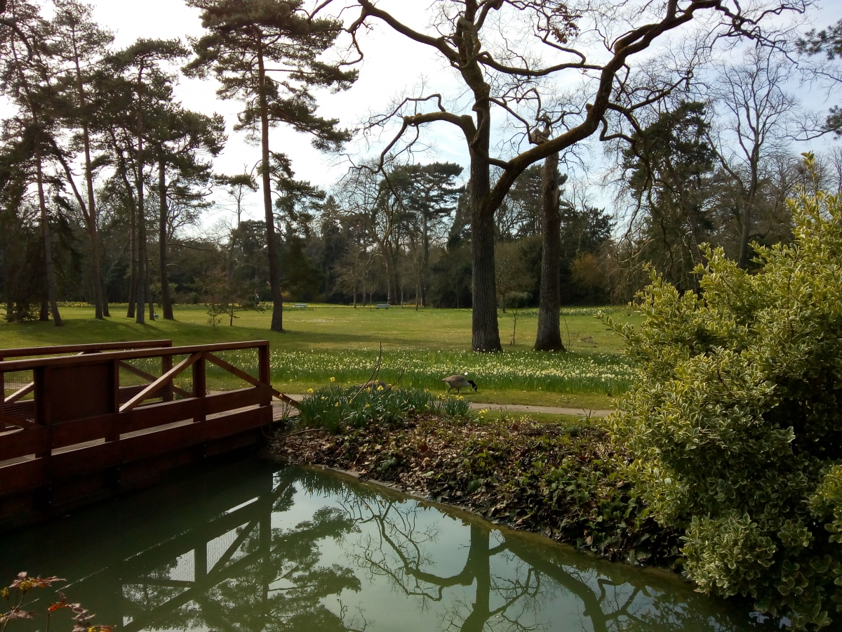 Marche Nordique - bois de Boulogne