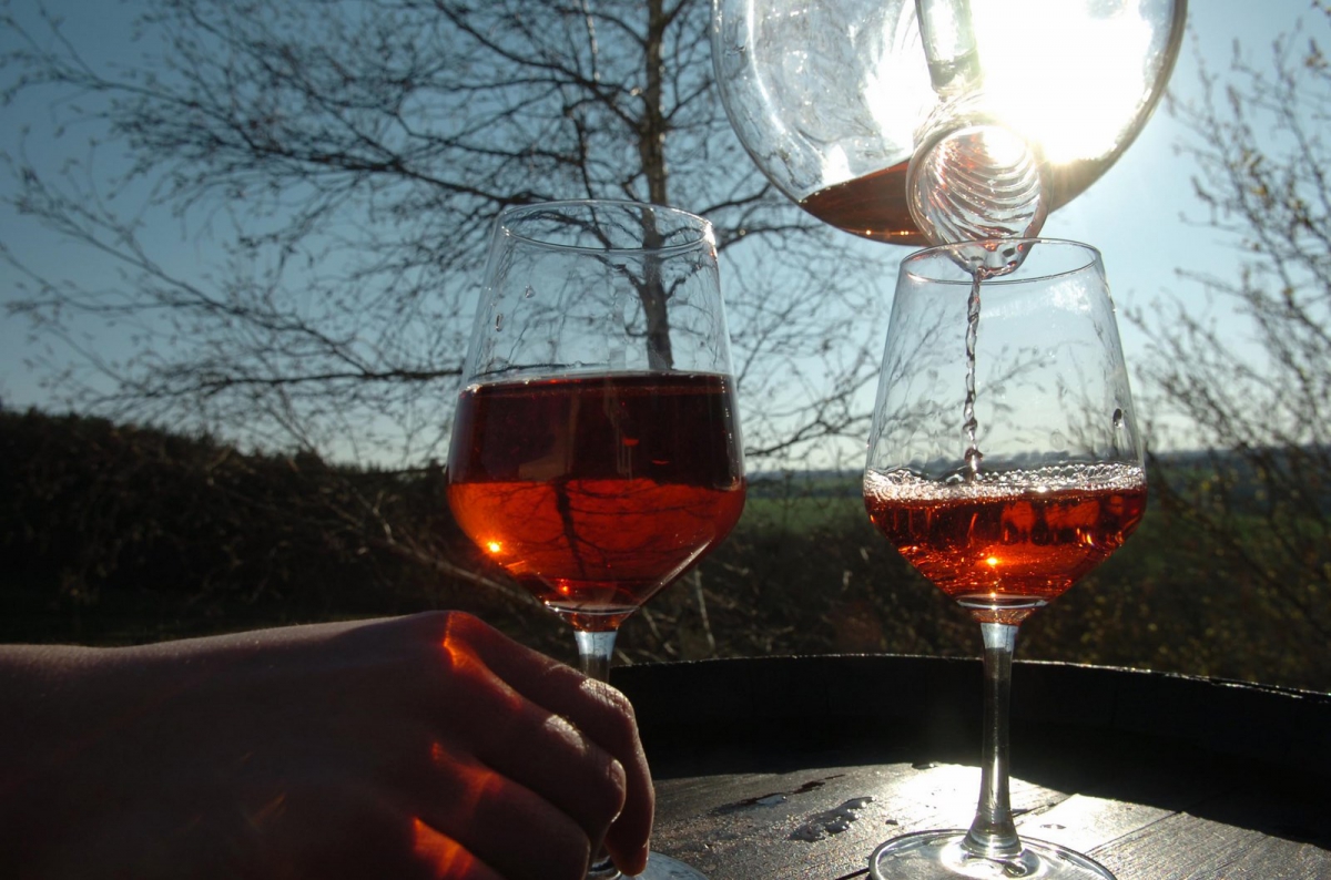 Randonnée : domaine de Rochambeau à Soulaines