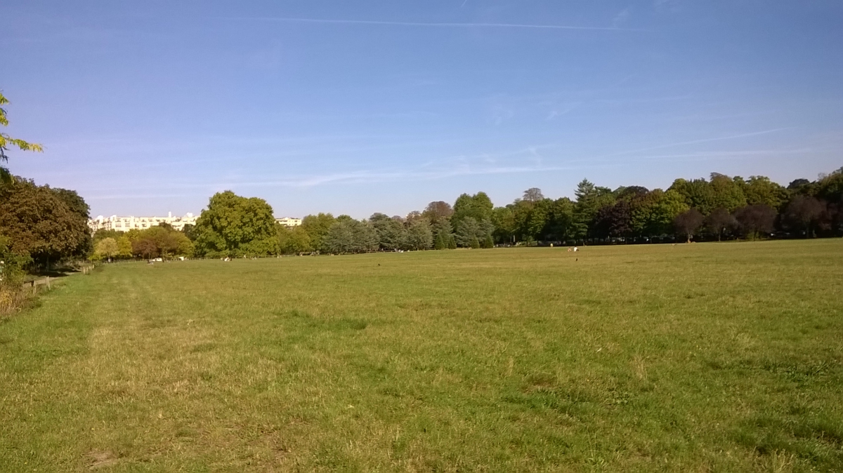 Balade vélo - Bois de Boulogne
