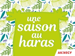 Yoga Anusara et Satiam aux Haras