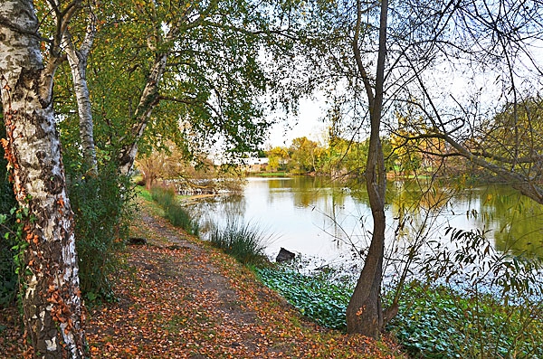 BALADE SUR LES CHEMINS DE BROUETTES