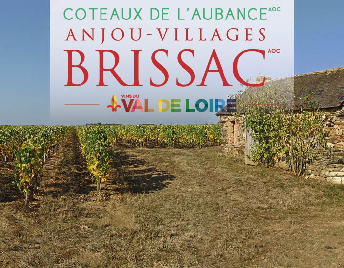 VVR (Vignes Vins et Randos) 6km