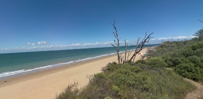 Baignade et concours de châteaux de sable