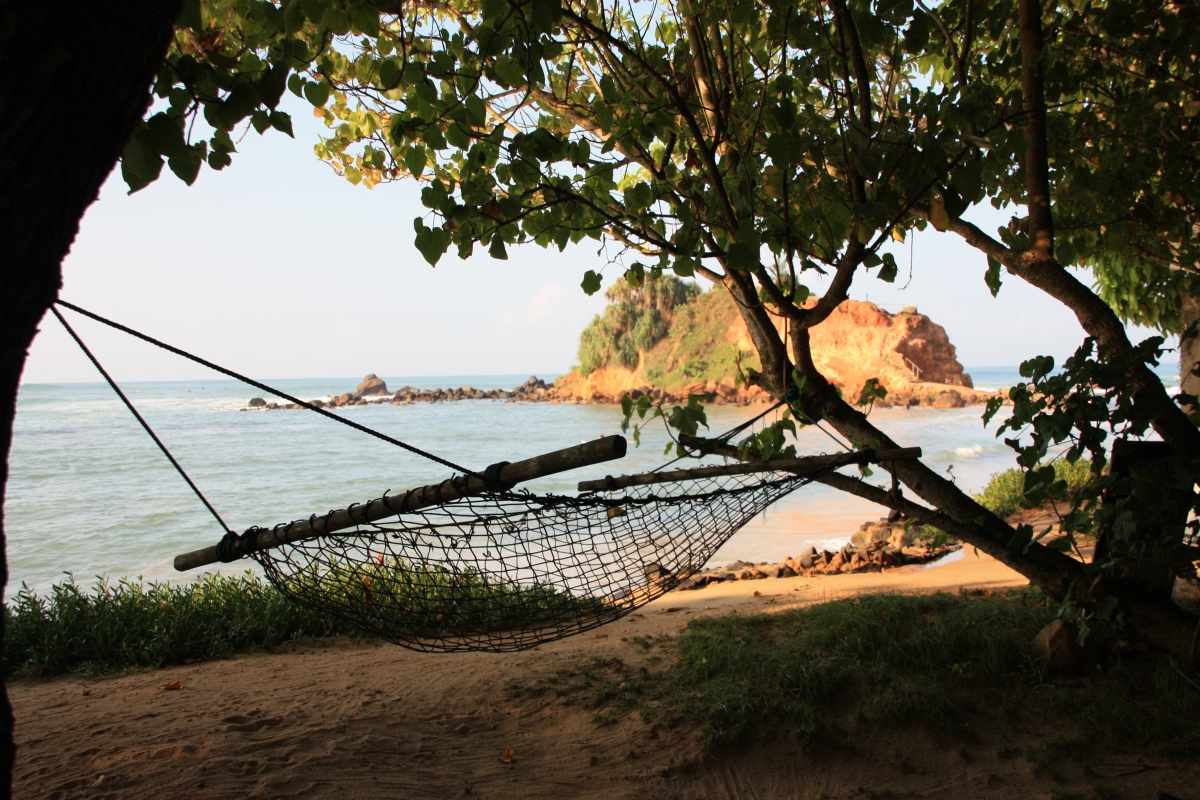 La fiesta de l'été