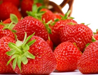 Fêtes des fraises à Plougastel-Daoulas