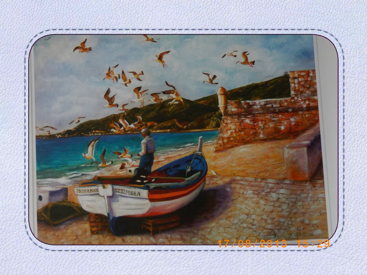 Descente en canoë sur la Sarthe