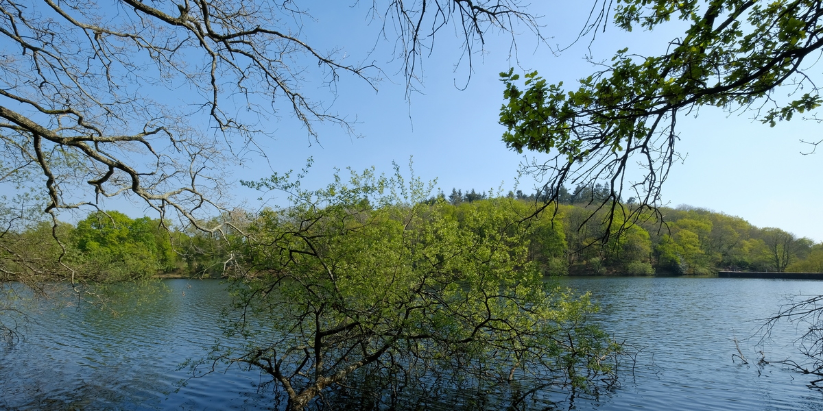 Balade autour du Lac de la vallée Mabille à SAVENAY
