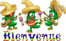 Fontainebleau : DÉCOUVERTE DE L'ASSOCIATION DES SOLOS