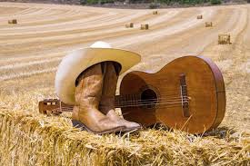 Concert country