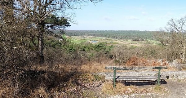 Balade en Forêt de Fontainebleau. Rocher Cassepot - Mont Ussy