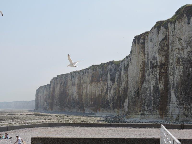 Photos de Christelle - St Valery du 8 juillet