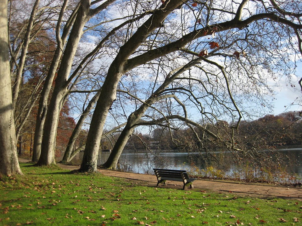 After work : balade au parc