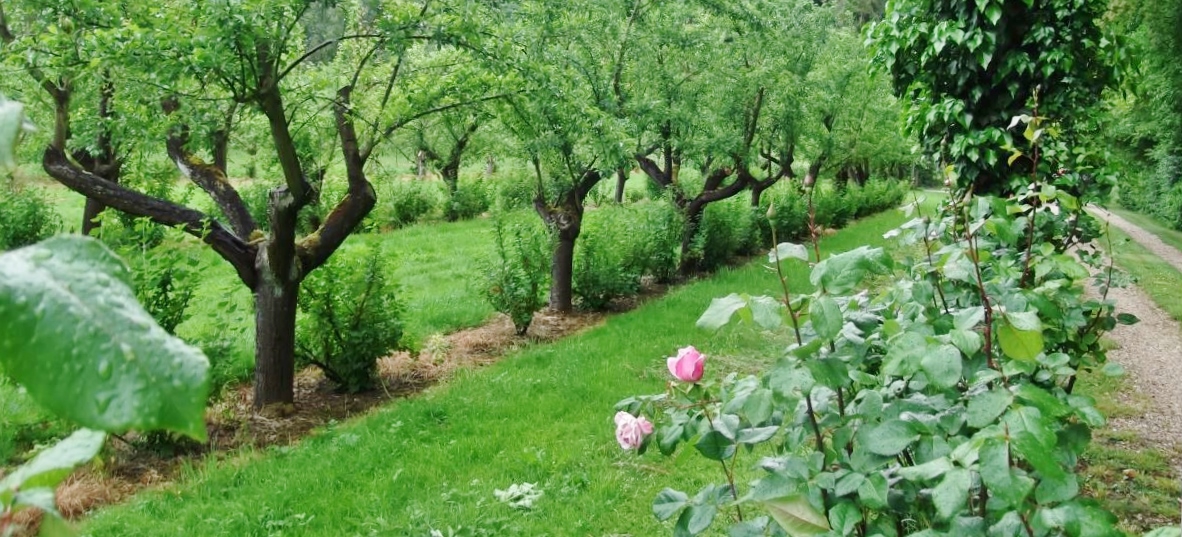 BARDOUVILLE Rando Vergers