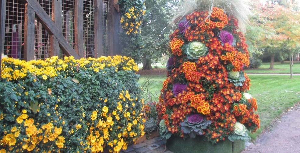 Promenade au jardin des plantes