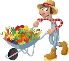 Marché Bio à la ferme